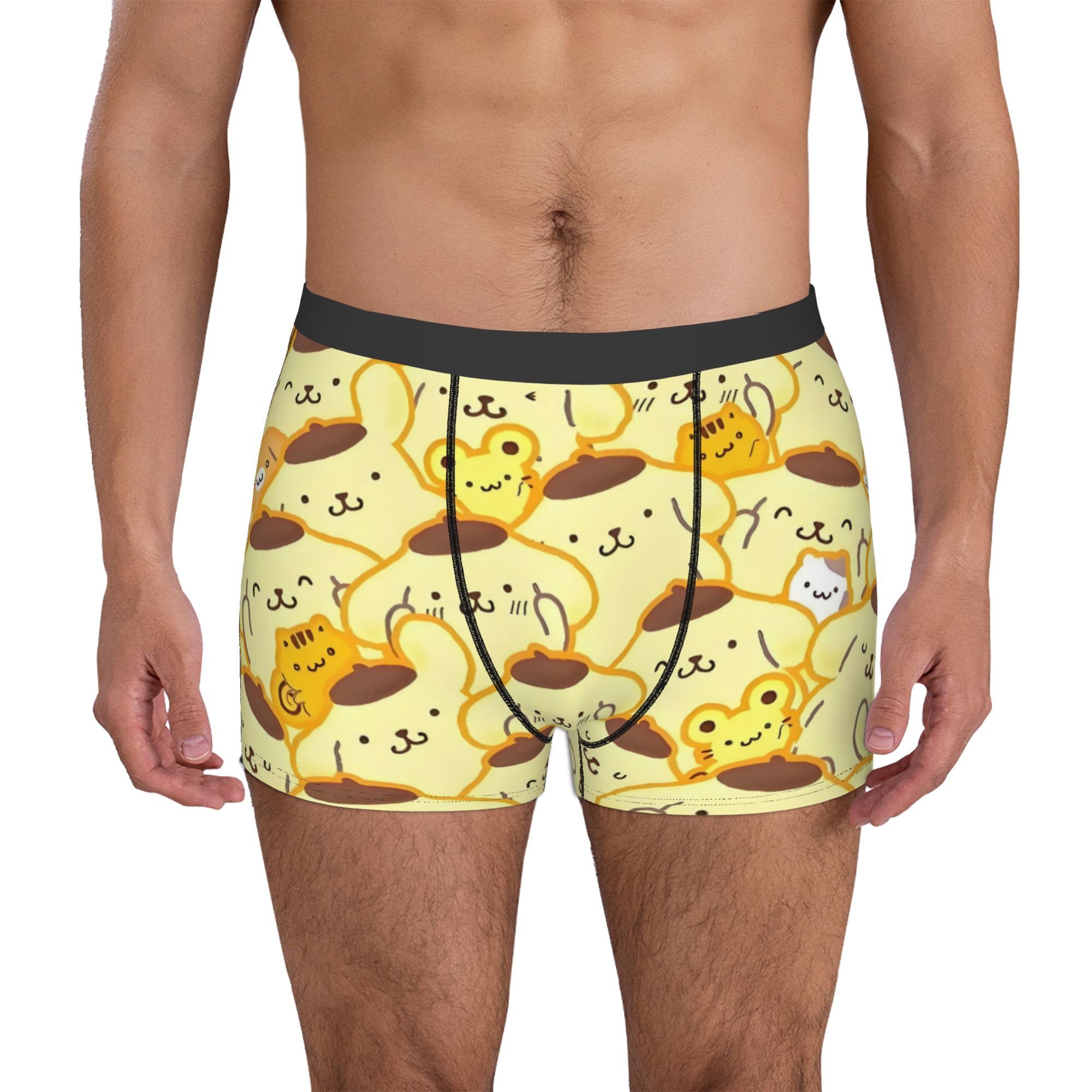 Boxer Shorts Modal - Sous-vêtements Pompompurin pour hommes, caleçons imprimés