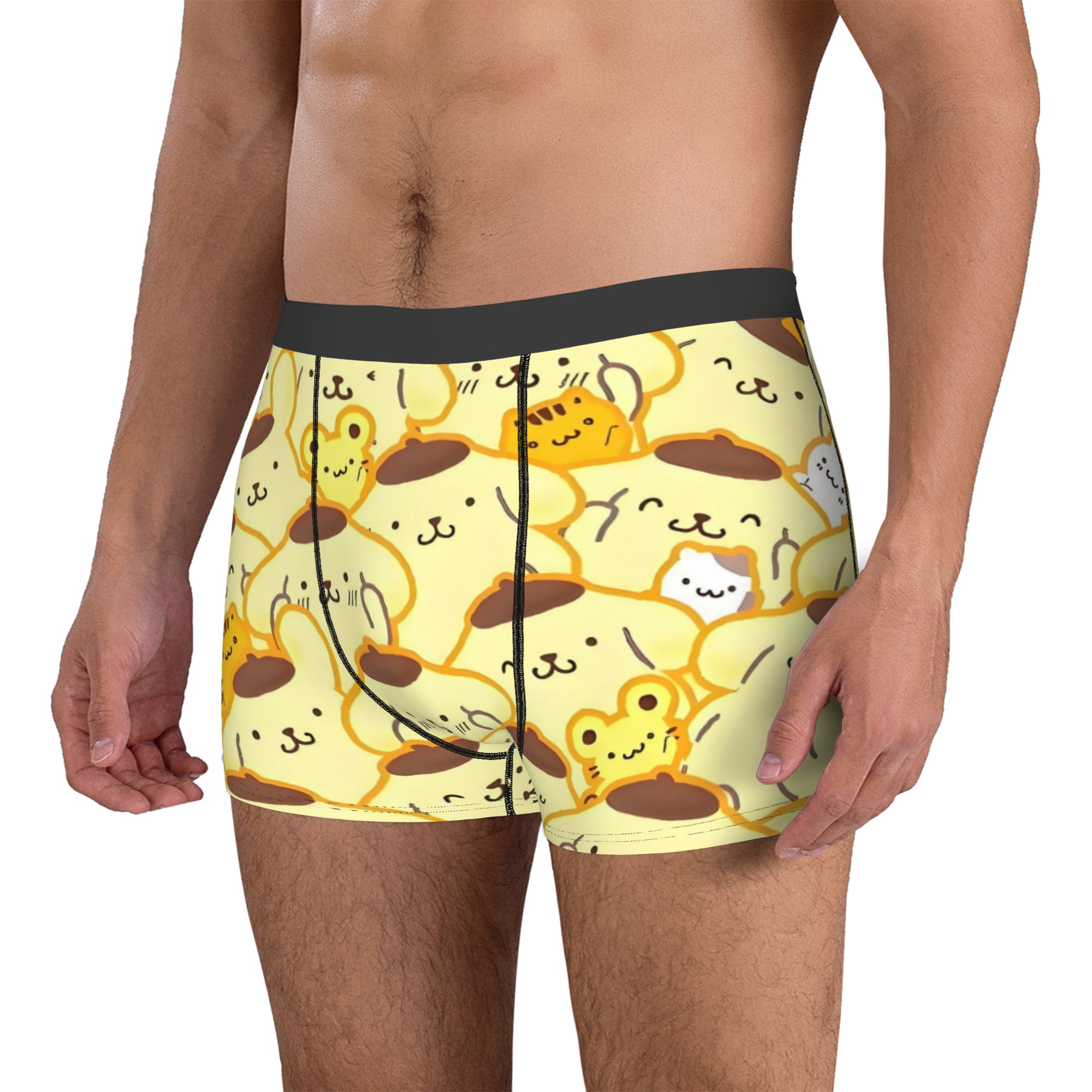 Sous-vêtements Pompompurin pou - Boxer Shorts Modal avis et prix