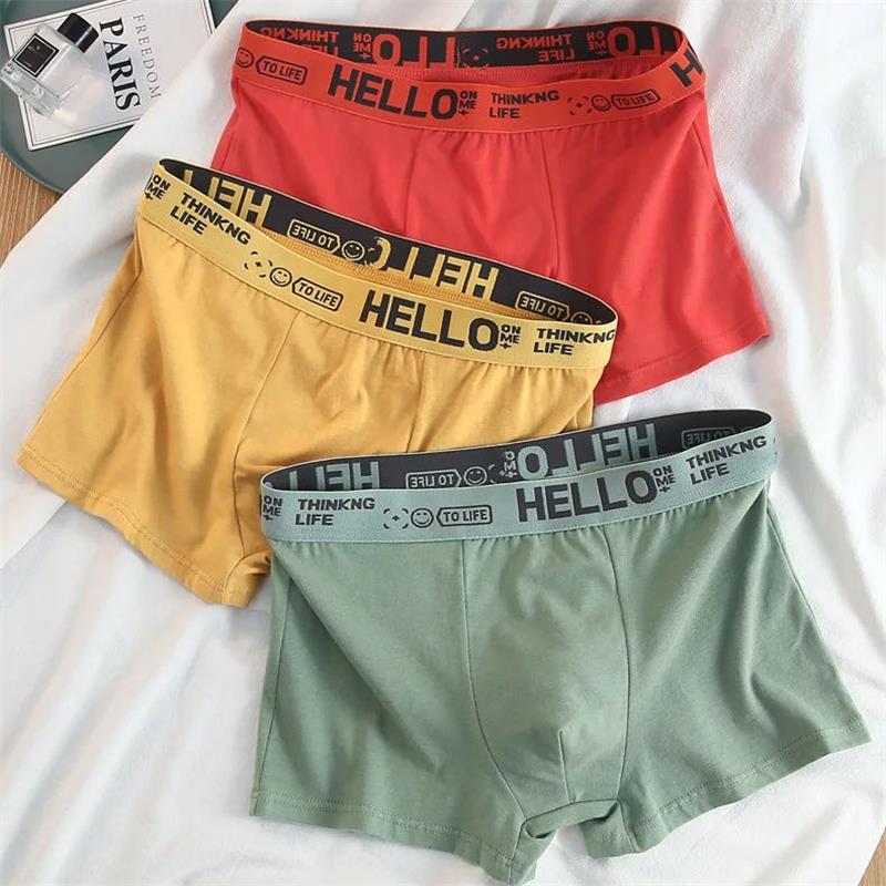 10 pièces/ Sous-vêtements pour - Boxer Brief Pack Cotton avis et prix