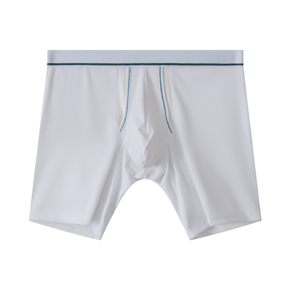 Caleçons de sport pour hommes  - Long Leg Trunk Men avis et prix