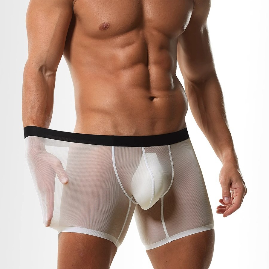 Shorts Boxers Longs en Soie Gl - Long Leg Trunk Men avis et prix