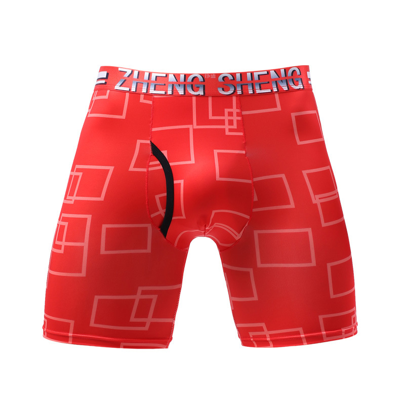 Sous-vêtements pour hommes box - Long Leg Trunk Men avis et prix
